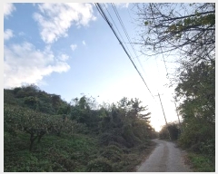  2024Ÿ��7013 �泲 â���� ��â�� �ϸ� �ܻ긮 678-2     ����(������)���