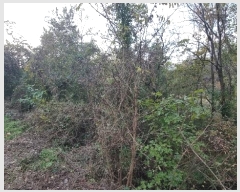  2024Ÿ��7013 �泲 â���� ��â�� �ϸ� �ܻ긮 678-2     ����(������)���