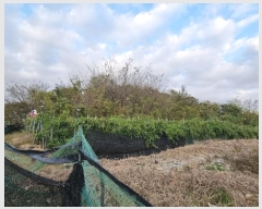  2024Ÿ��7013 �泲 â���� ��â�� �ϸ� �ܻ긮 678-2     ����(������)���