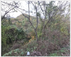  2024Ÿ��7013 �泲 â���� ��â�� �ϸ� �ܻ긮 678-2     ����(������)���