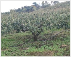  2024Ÿ��7013 �泲 â���� ��â�� �ϸ� �ܻ긮 678-2     ����(������)���