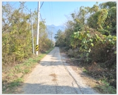  2024Ÿ��7013 �泲 â���� ��â�� �ϸ� �ܻ긮 678-2     ����(������)���