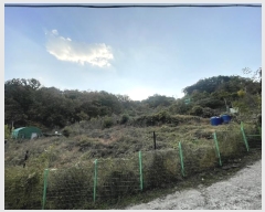  2024Ÿ7198 泲 ؽ 뵿 ȸ 151      ()