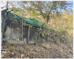  2024Ÿ7198 泲 ؽ 뵿 ȸ 151      ()