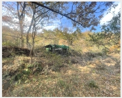  2024Ÿ7198 泲 ؽ 뵿 ȸ 151      ()