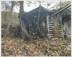  2024Ÿ7198 泲 ؽ 뵿 ȸ 151      ()