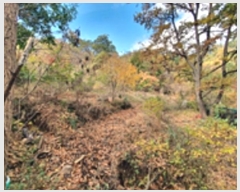  2024Ÿ7198 泲 ؽ 뵿 ȸ 151      ()