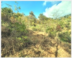  2024Ÿ7198 泲 ؽ 뵿 ȸ 151      ()