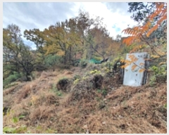  2024Ÿ7198 泲 ؽ 뵿 ȸ 151      ()