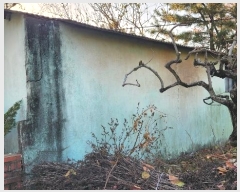  2024Ÿ��7556  ���ð��