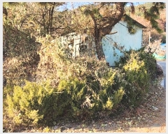  2024Ÿ��7556  ���ð��