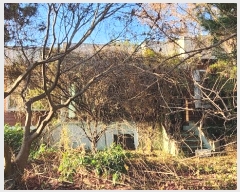  2024Ÿ��7556  ���ð��