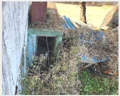  2024Ÿ��7556  ���ð��