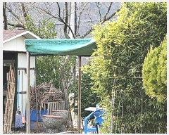  2024Ÿ��7648  ���ð��