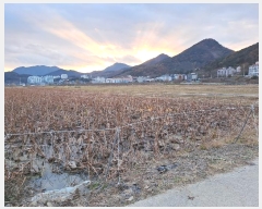  2024Ÿ115556 泲 â â ϸ ̸ 1511-6     ()