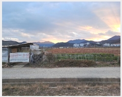  2024Ÿ115556 泲 â â ϸ ̸ 1511-6     ()