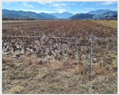  2024Ÿ115556 泲 â â ϸ ̸ 1511-6     ()