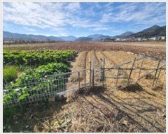  2024Ÿ115556 泲 â â ϸ ̸ 1511-6     ()