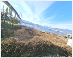  2024Ÿ116115 泲 â 걸 Ͱ 649      ()