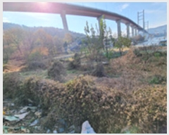  2024Ÿ116115 泲 â 걸 Ͱ 649      ()