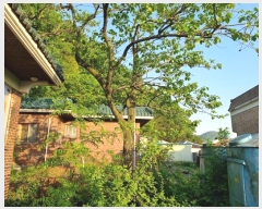  2024Ÿ��2196 �泲 ���ֽ� �ݰ�� �ι��� 97      ���ð��