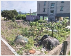  2024Ÿ��2806  �ٰ������ð��