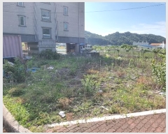  2024Ÿ��2806  �ٰ������ð��