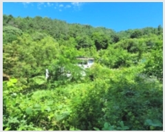  2024Ÿ3199 泲 û θ ̸ 234      ()