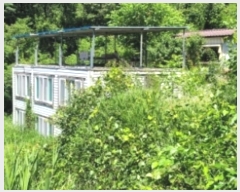  2024Ÿ3199 泲 û θ ̸ 234      ()