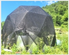  2024Ÿ3199 泲 û θ ̸ 234      ()