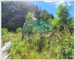  2024Ÿ3199 泲 û θ ̸ 234      ()