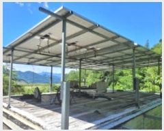  2024Ÿ3199 泲 û θ ̸ 234      ()