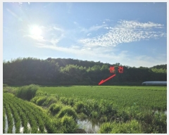  2024Ÿ3342 泲 õ   388-5      ()