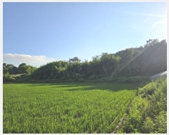  2024Ÿ3342 泲 õ   388-5      ()