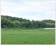  2024Ÿ3342 泲 õ   388-5      ()