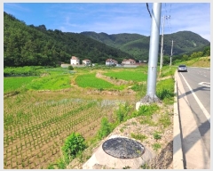  2024Ÿ��3632 �泲 ���ֽ� �ݻ�� ��Ƹ� 435      ����(��)���