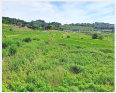  2024Ÿ��3632 �泲 ���ֽ� �ݻ�� ��Ƹ� 435      ����(��)���