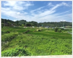  2024Ÿ��3632 �泲 ���ֽ� �ݻ�� ��Ƹ� 435      ����(��)���