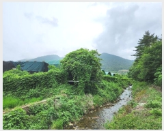  2024Ÿ��3793 �泲 �ϵ��� ������ ������ 351-2      ����(��)���