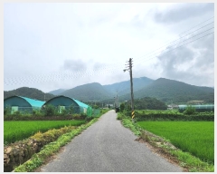  2024Ÿ��3793 �泲 �ϵ��� ������ ������ 351-2      ����(��)���