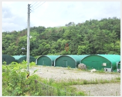  2024Ÿ��3793 �泲 �ϵ��� ������ ������ 351-2      ����(��)���