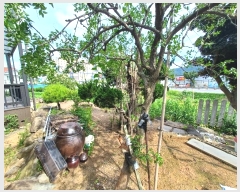  2024Ÿ��3908 �泲 ��õ�� �糲�� ������ 93      �ܵ�����,�����ð��