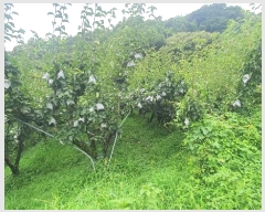  2024Ÿ4055 泲 ϵ ϵ ȭɸ 615-2      (Ӿ)