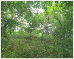  2024Ÿ4055 泲 ϵ ϵ ȭɸ 615-2      (Ӿ)