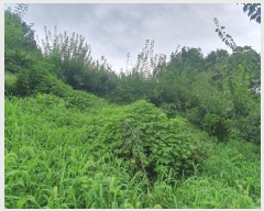  2024Ÿ4055 泲 ϵ ϵ ȭɸ 615-2      (Ӿ)