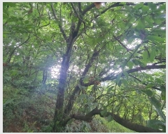  2024Ÿ4055 泲 ϵ ϵ ȭɸ 615-2      (Ӿ)