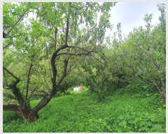  2024Ÿ4055 泲 ϵ ϵ ȭɸ 615-2      (Ӿ)