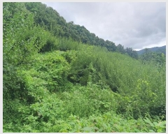  2024Ÿ4055 泲 ϵ ϵ ȭɸ 615-2      (Ӿ)