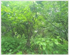  2024Ÿ4055 泲 ϵ ϵ ȭɸ 615-2      (Ӿ)