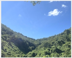  2024Ÿ��4734  �Ӿ߰��